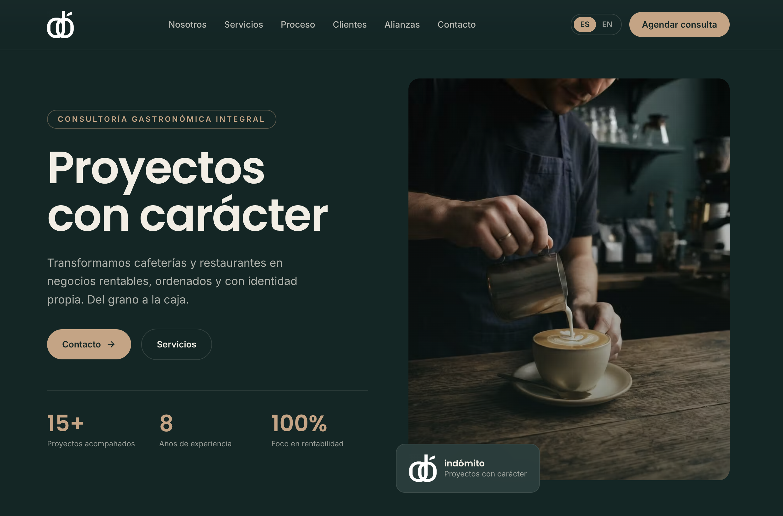 Proyecto Indómito Consultores